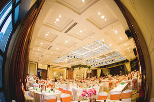 大慶藝群婚慶 以專(zhuān)業(yè)匠心，雕琢您的豪華婚禮夢(mèng)想